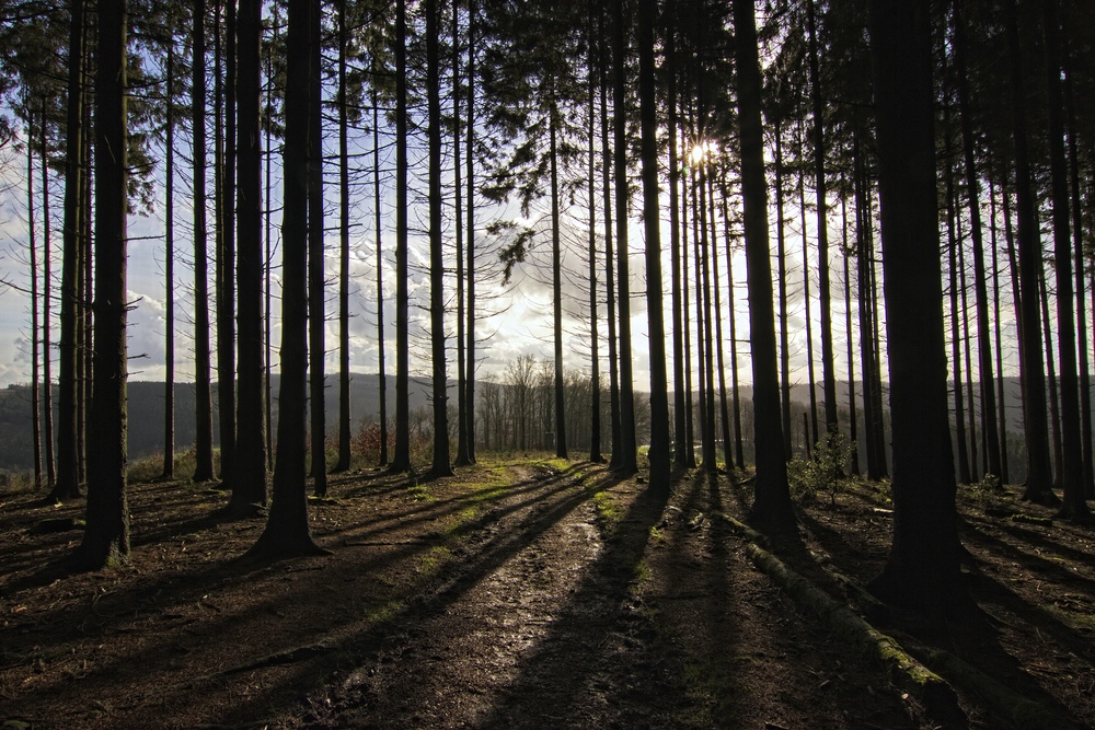 Sonntags im Bergischen Land III