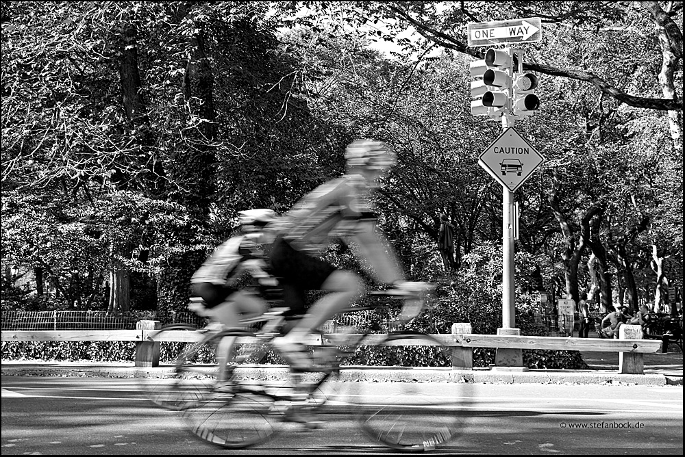 Sonntags im Central Park, New York City Serie V