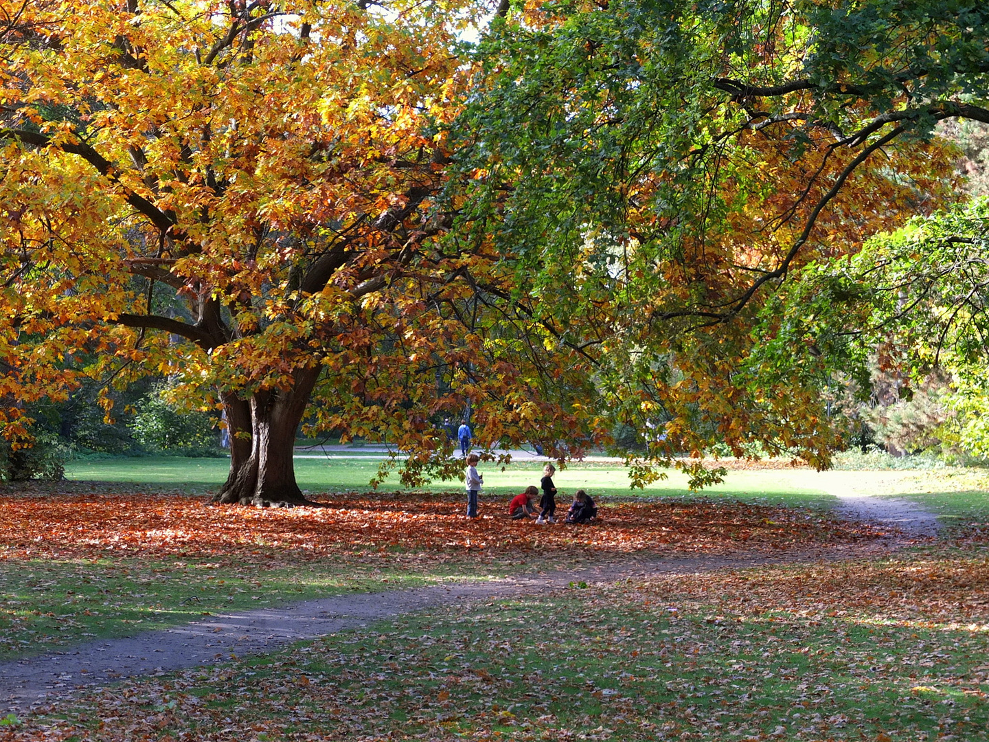 Sonntags im Park