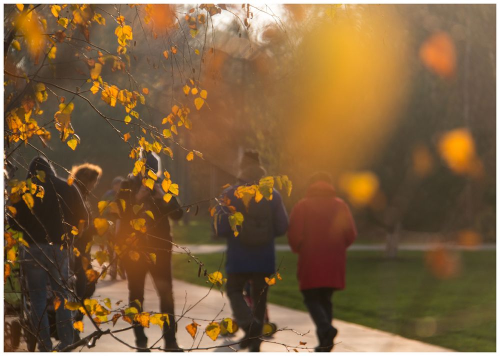 Sonntags im Park mit Freunden