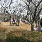 Sonntags im Park - Tokio