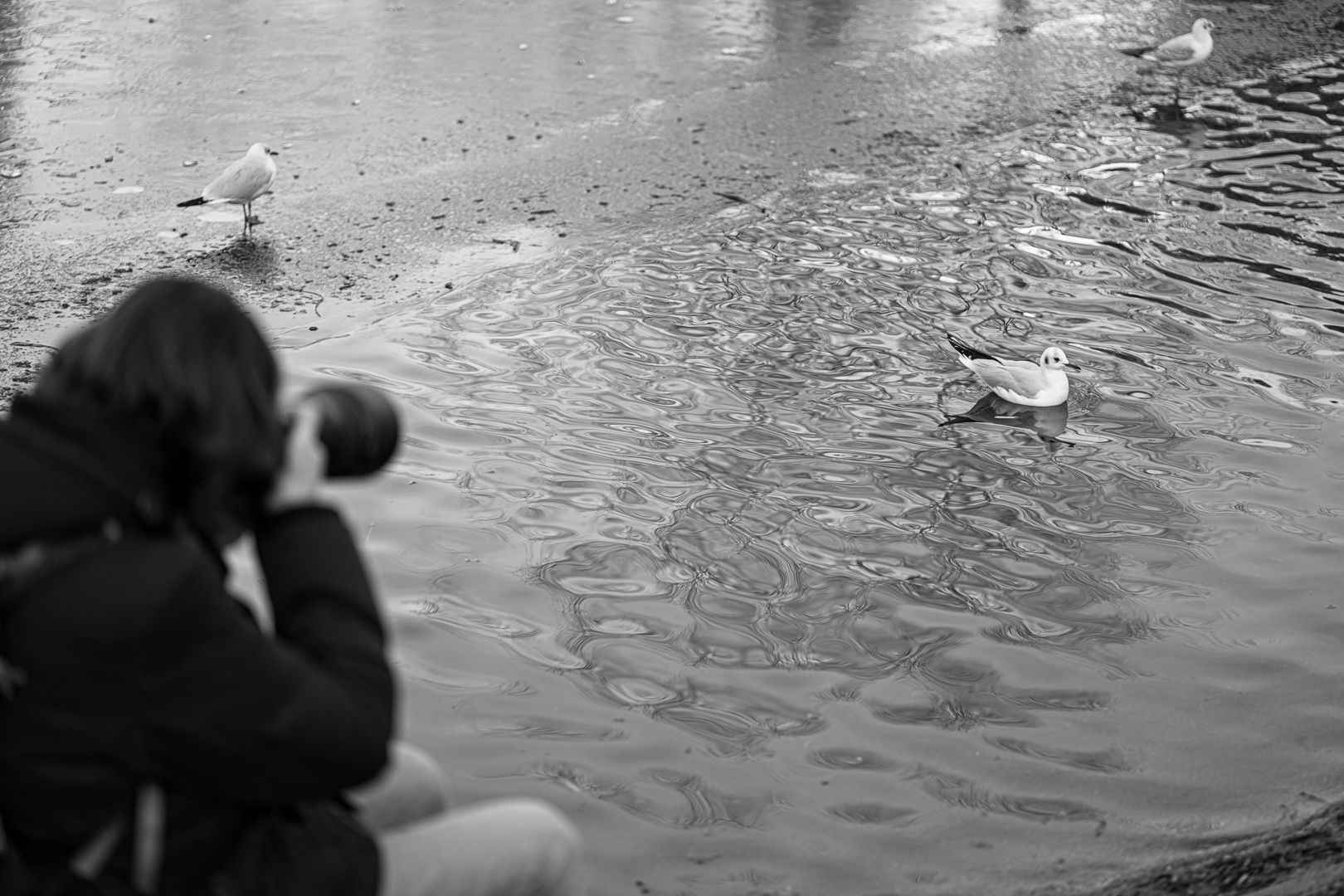 Sonntags im Stadtpark Foto & Bild | europe, Österreich ... Sonntags im Stadtpark Foto & Bild | europe, Österreich ...