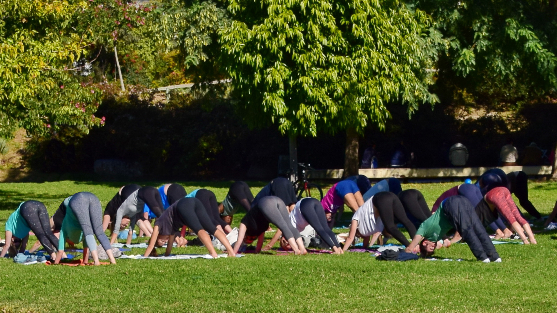 Sonntags im Turia Park - sportlich in der Gruppe