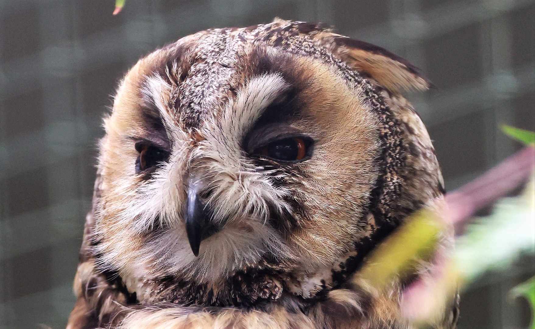 Sonntags im Wildpark 