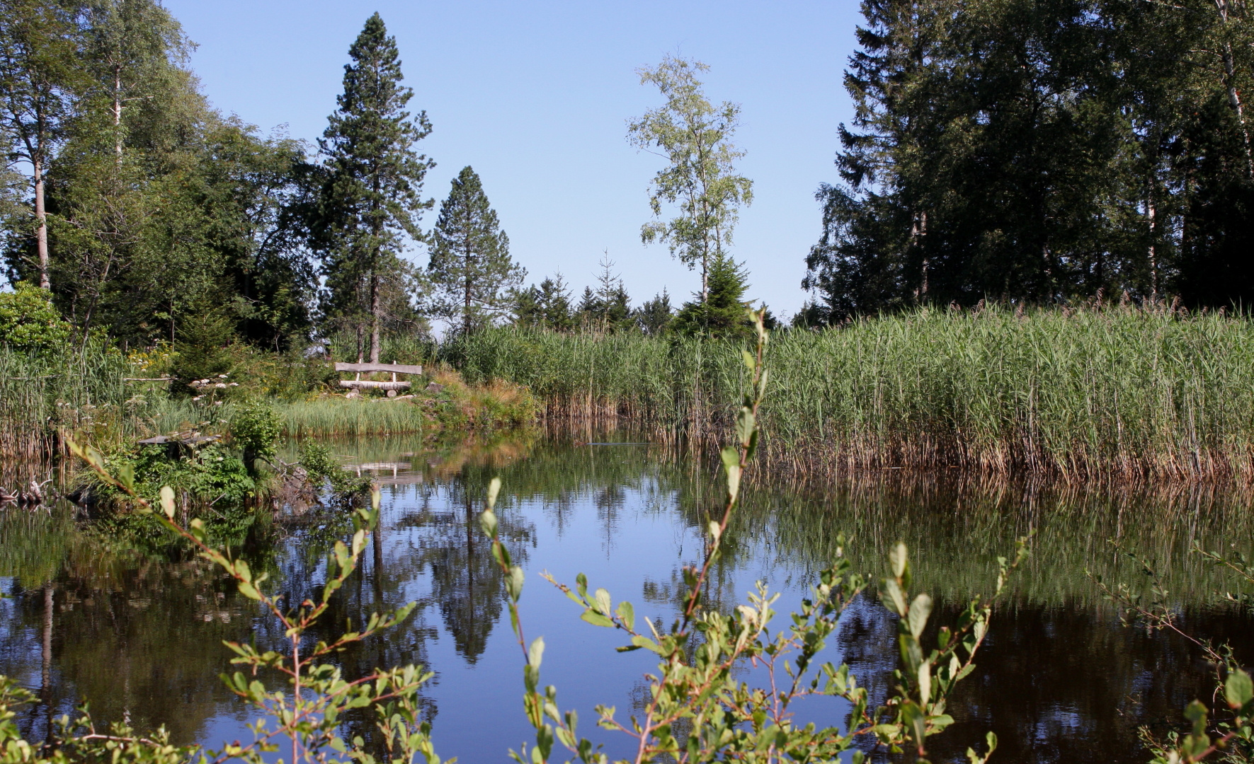 Sonntags in freier Natur