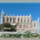 *Sonntags-Kirche* - Kathedrale der Heiligen Maria in Palma