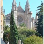 * Sonntags-Kirche * - Kathedrale in Palma
