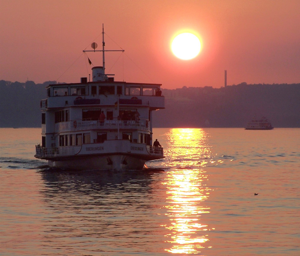 Sonntags mit Sonne: Abendliche Heimkehr