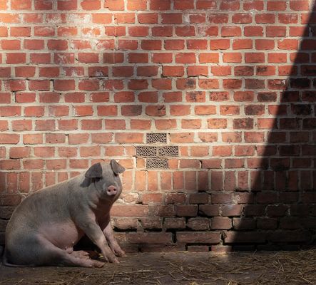 Sonntags mit Sonne ...