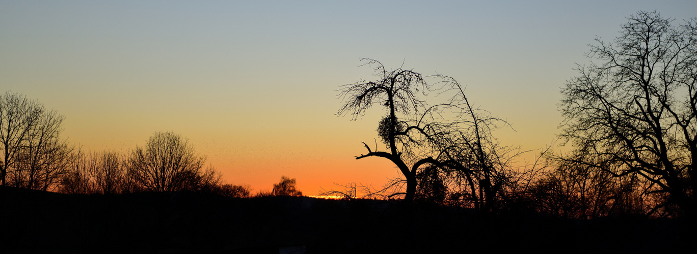 Sonntags mit Sonne, sunday with sun, domingo con sol