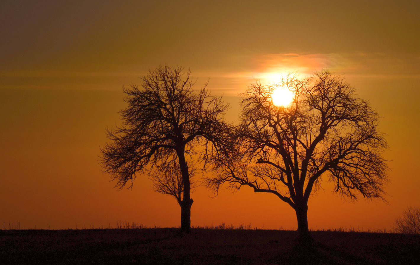 Sonntags mit Sonne, sunday with sun, domingo con sol