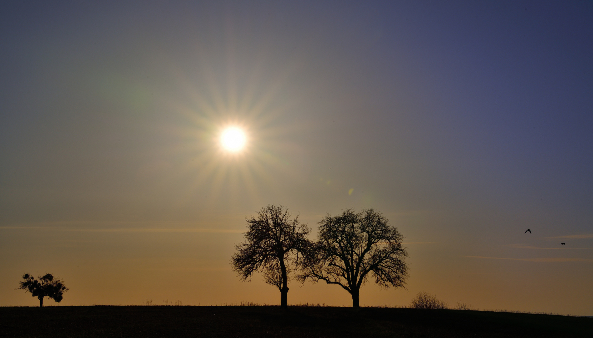 Sonntags mit Sonne, Sunday with sun, domingo con sol 