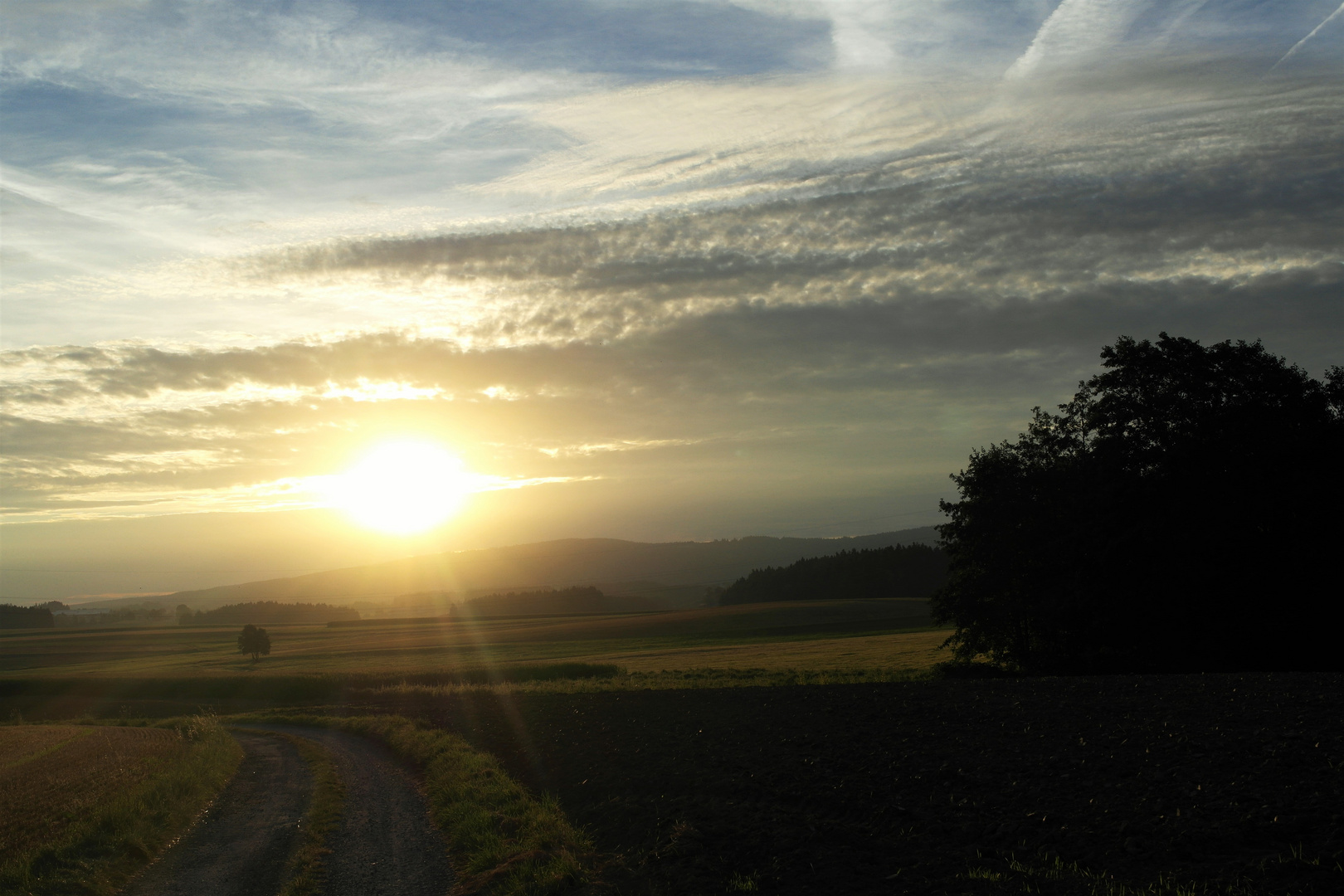 Sonntags :-)-Sonnenstrahlen über Feld und Flur