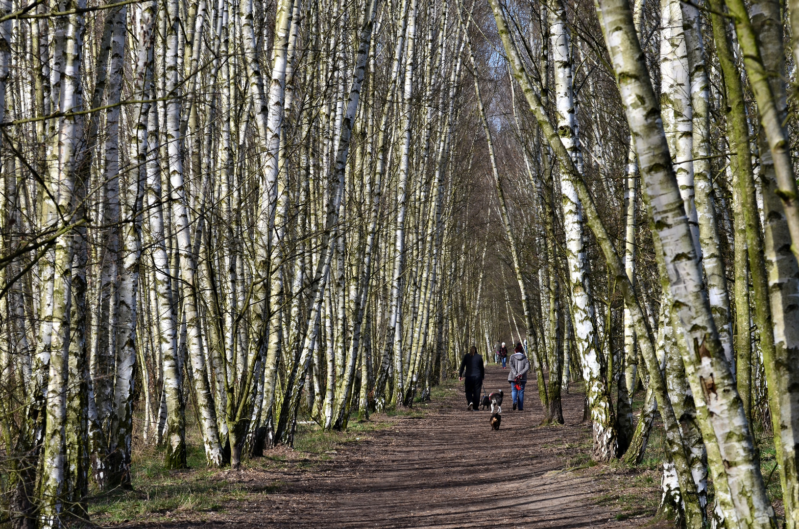 Sonntags Spaziergang im Frühling.....