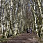 Sonntags Spaziergang im Frühling.....