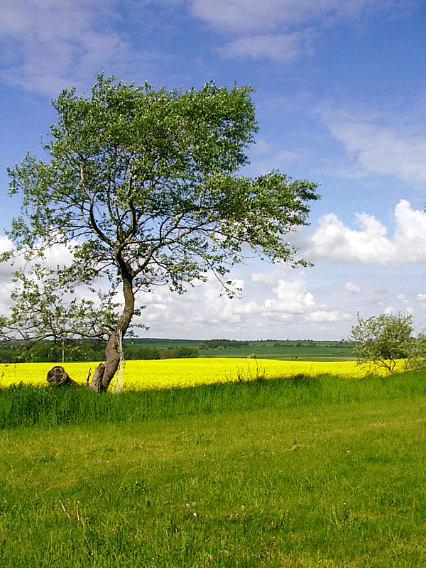 Sonntags- spaziergang in der Mecklenburger Schweiz