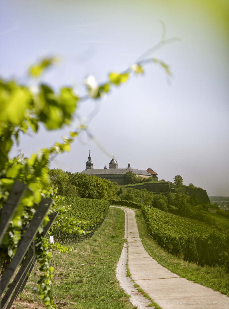 Sonntags-Spaziergang zur Festung Marienberg (Würzburg)