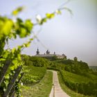 Sonntags-Spaziergang zur Festung Marienberg (Würzburg)