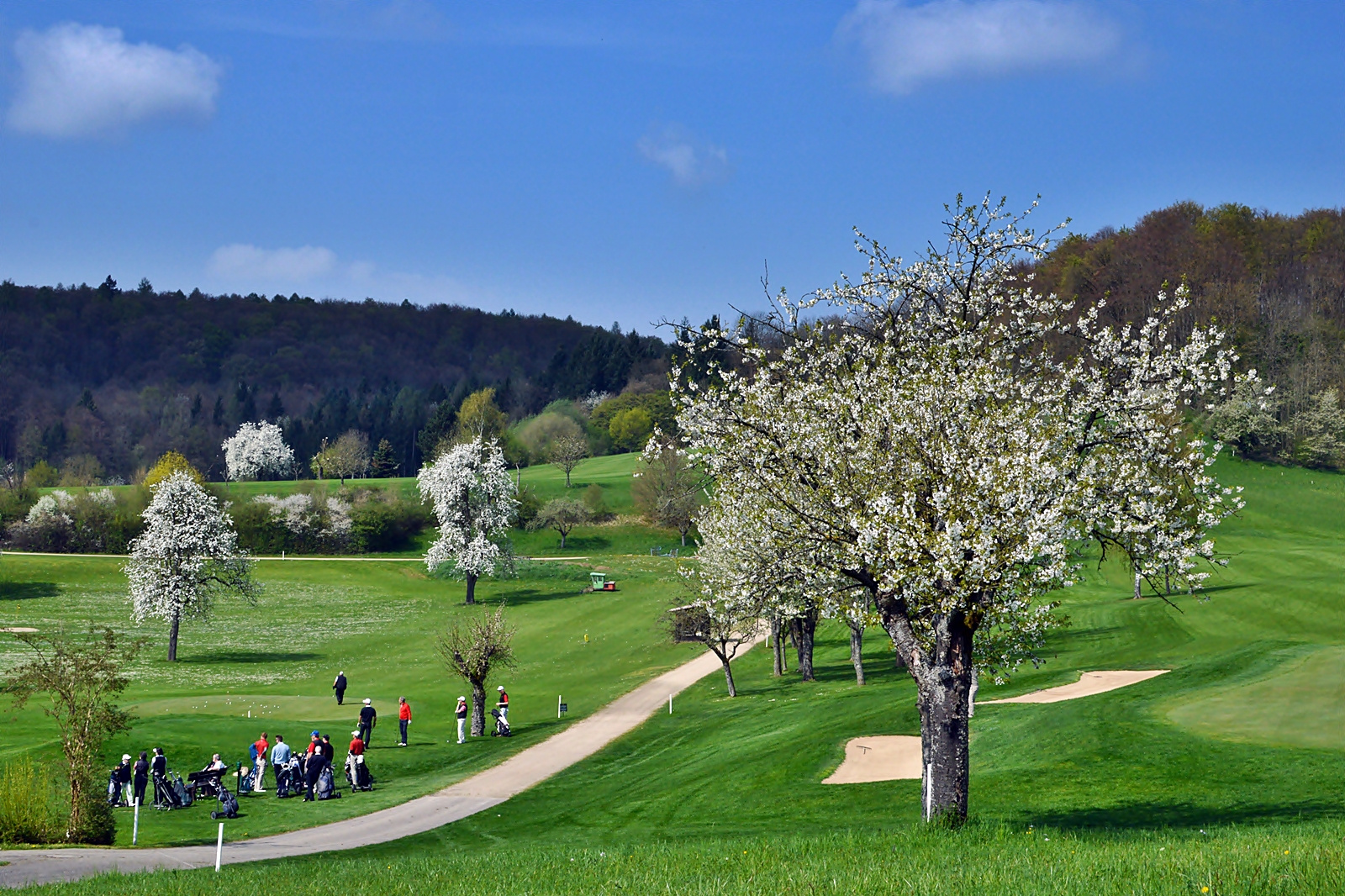 ~~~ Sonntags - Spieler ~~~