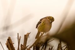 Sonntags unterwegs rund um Brandenburg