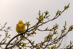 Sonntags unterwegs rund um Brandenburg