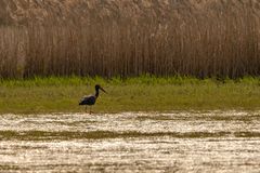 Sonntags unterwegs rund um Brandenburg