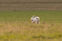 Sonntags unterwegs um Brandenburg