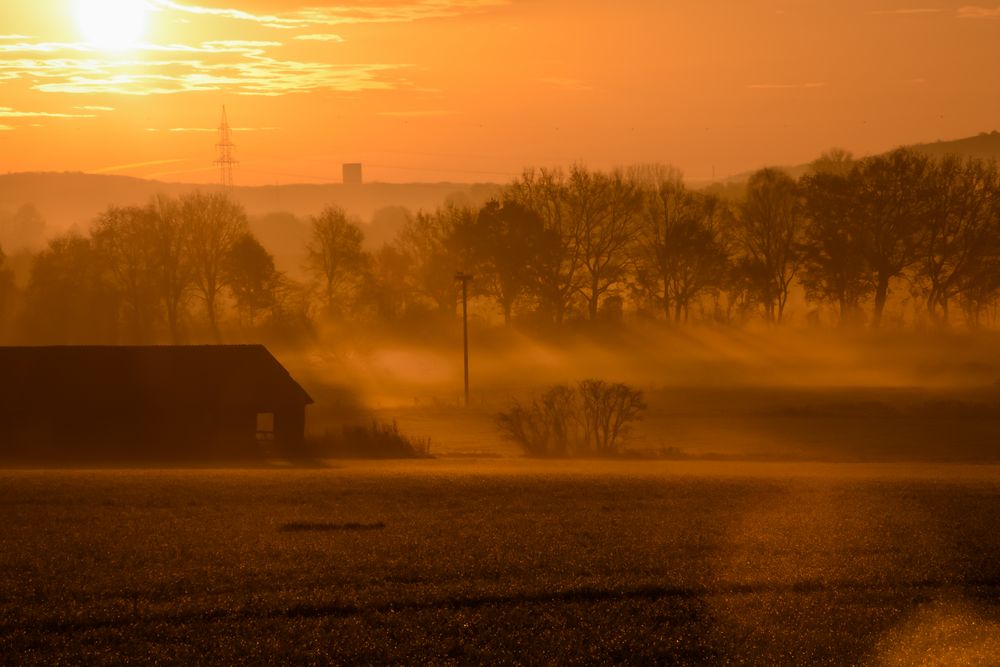 Sonntag`s vor dem Frühstück