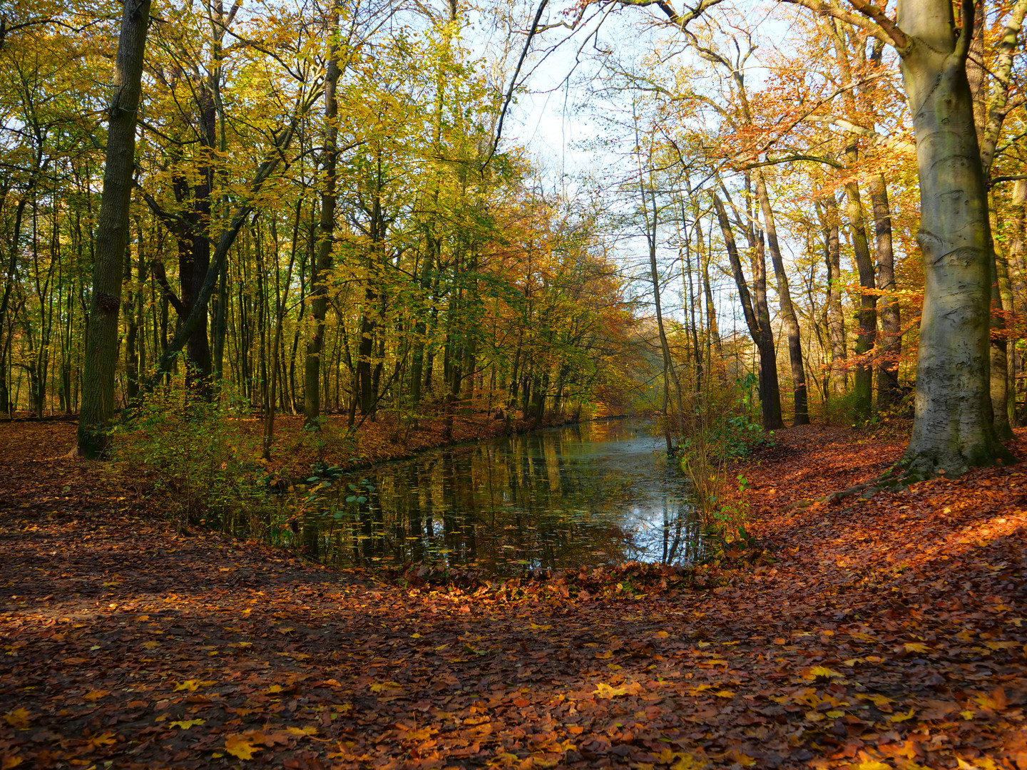                Sonntags Waldspaziergang