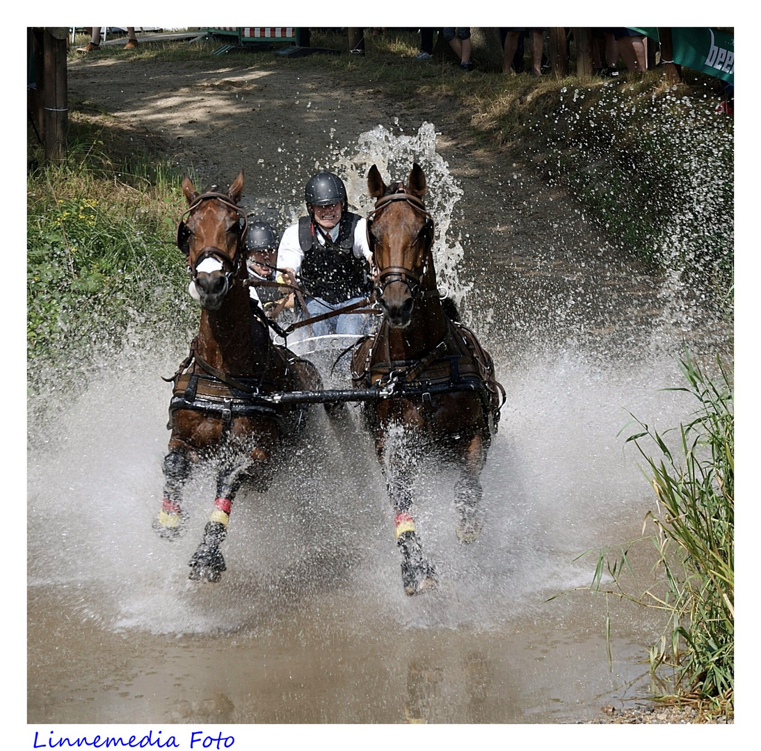 Sonntags   Wasser   Foto  !