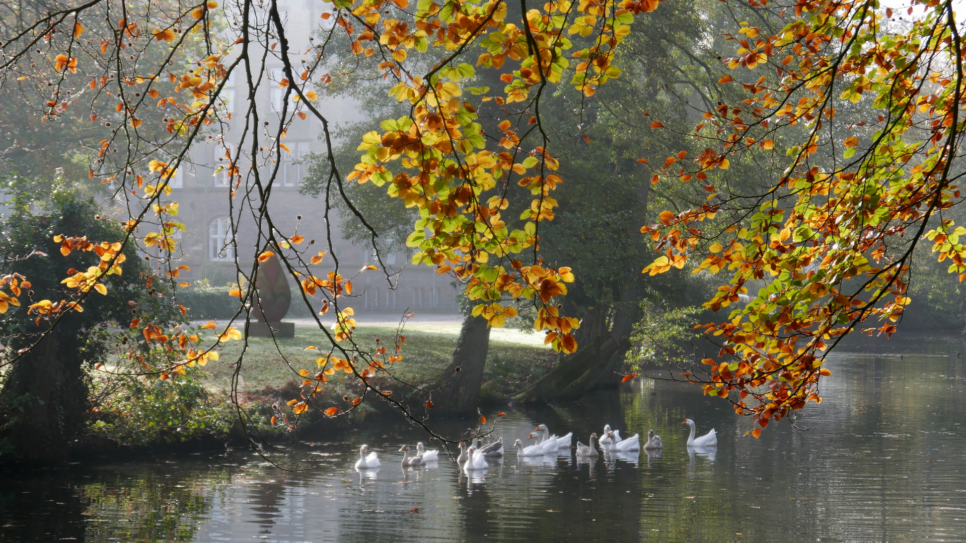 Sonntagsausflug