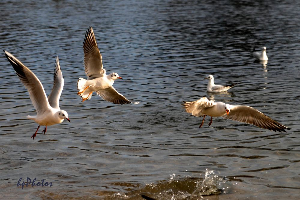 Sonntagsausflug