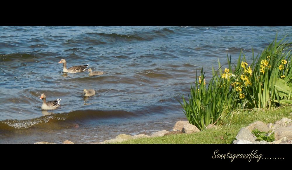 Sonntagsausflug