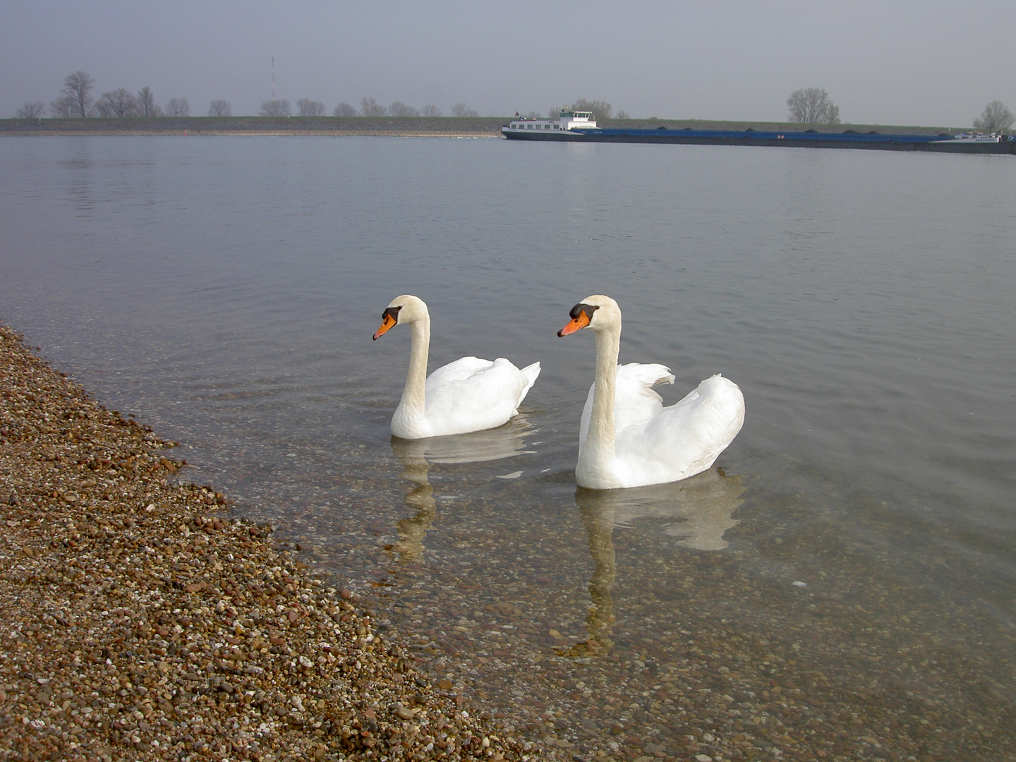 Sonntagsausflug am (im) Rhein