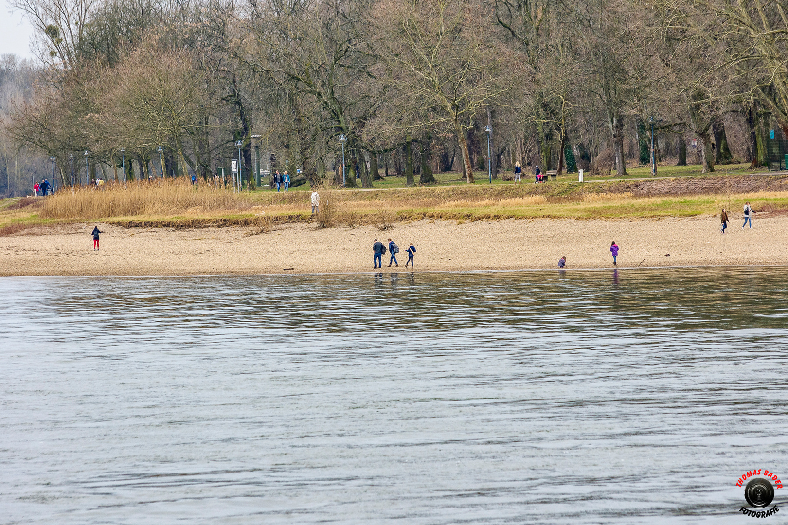 Sonntagsausflug am Rhein ...