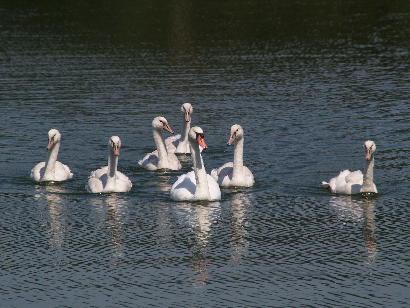 Sonntagsausflug