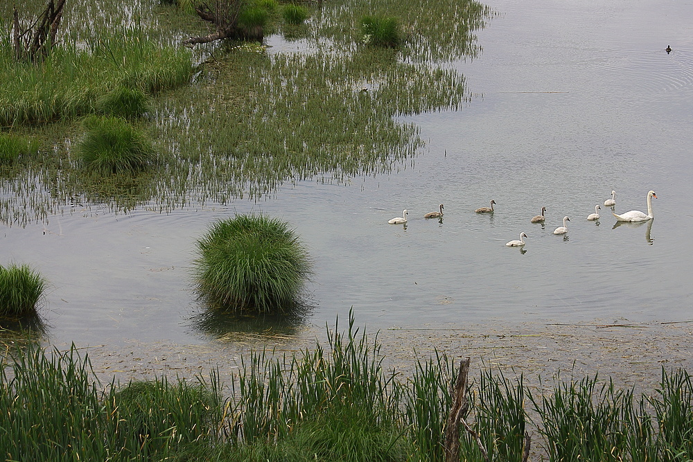 Sonntagsausflug ......... der fam. SCHWAN