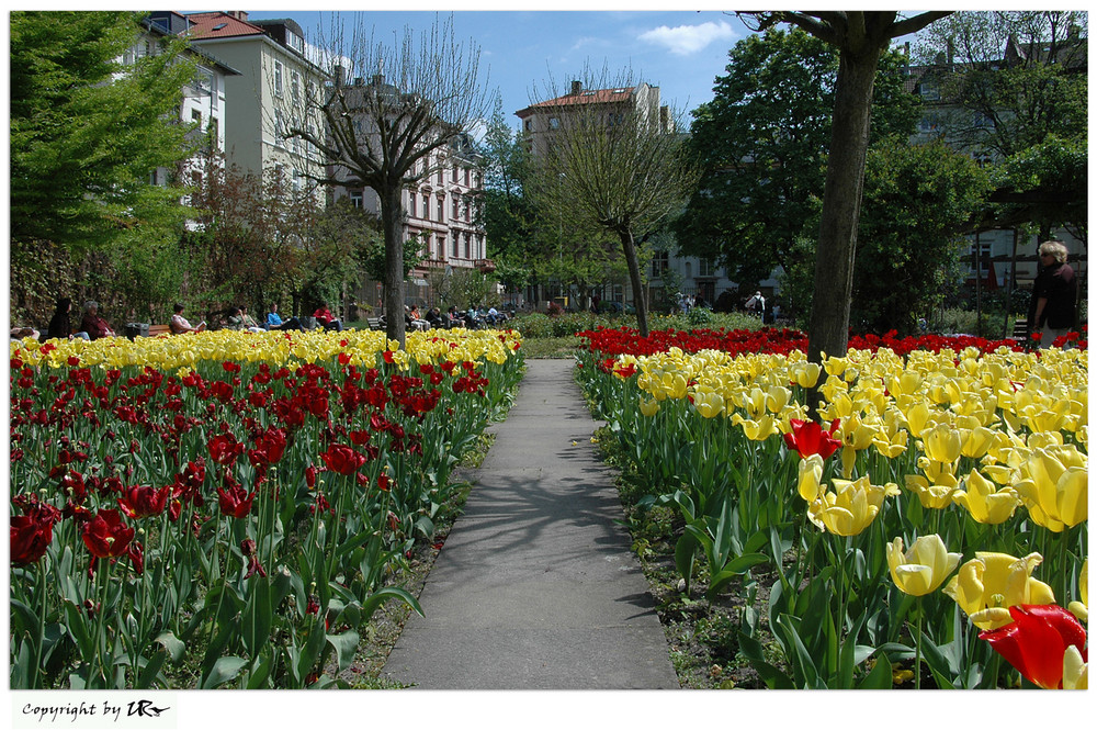 ...Sonntagsausflug im Bethmannpark...