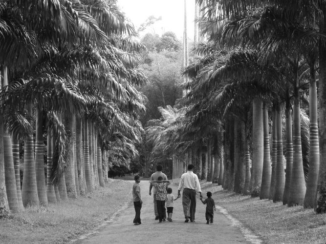 Sonntagsausflug im "Royal Botanic Gardens" in Peradeniya, Sri Lanka