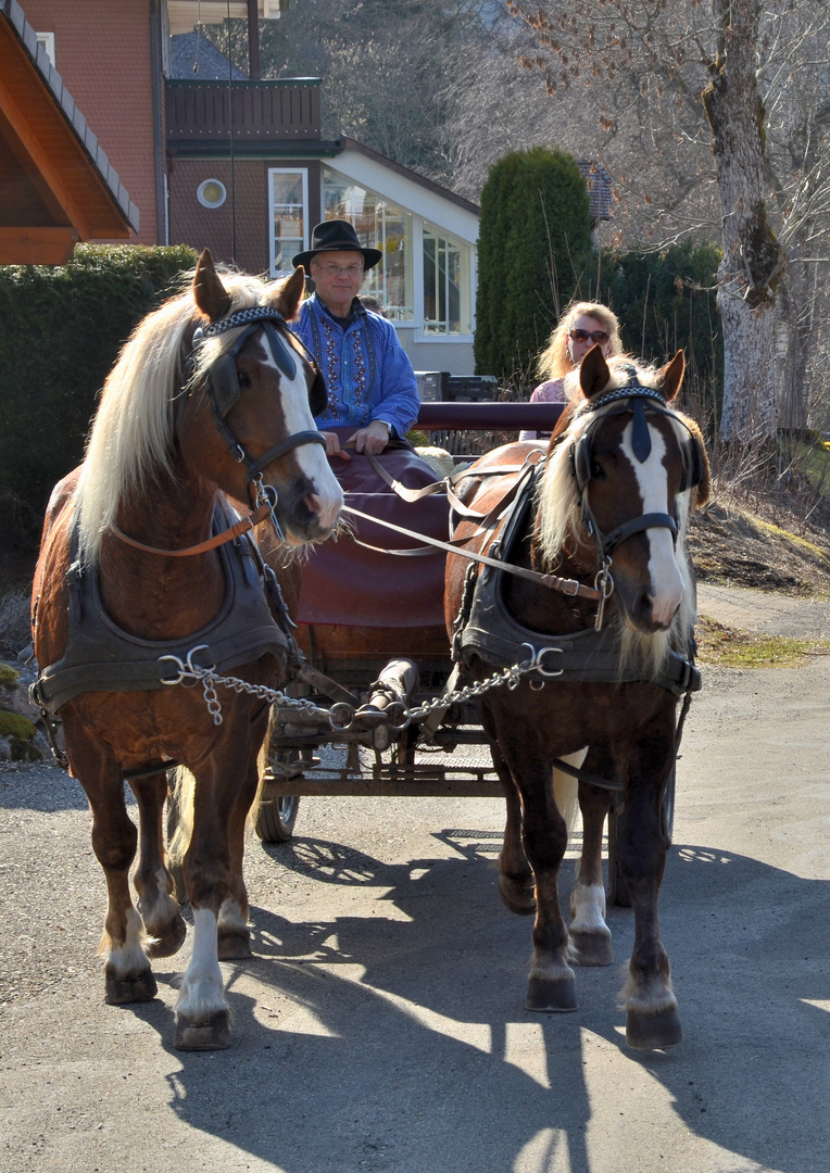 Sonntagsausflug im Schwarzwald