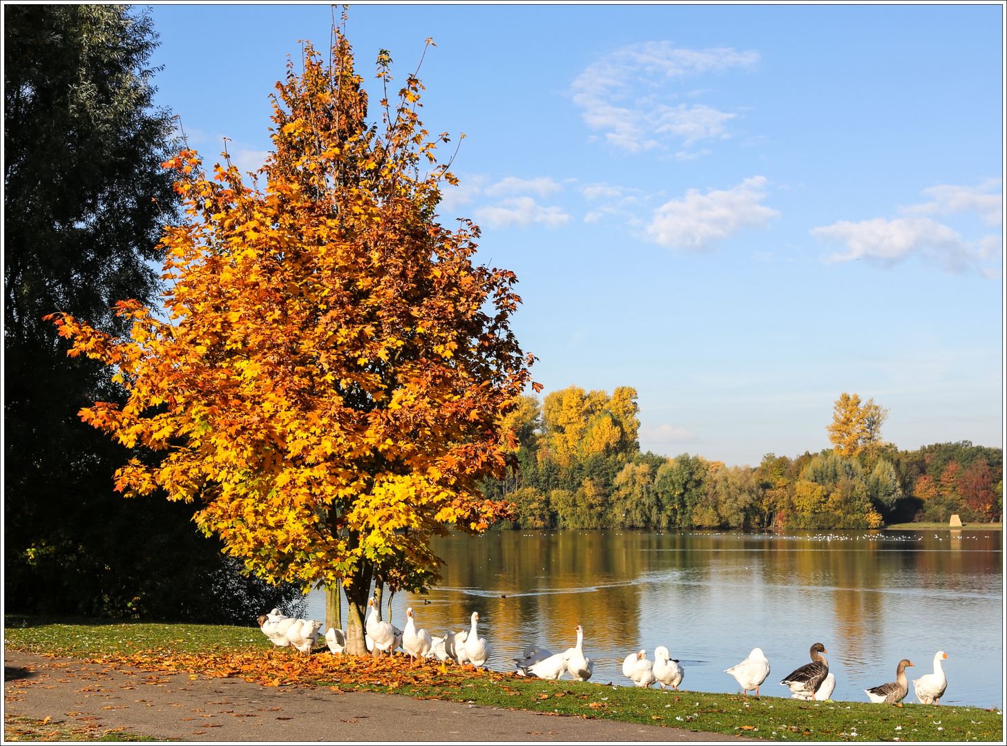 Sonntagsausflug zum See