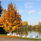 Sonntagsausflug zum See