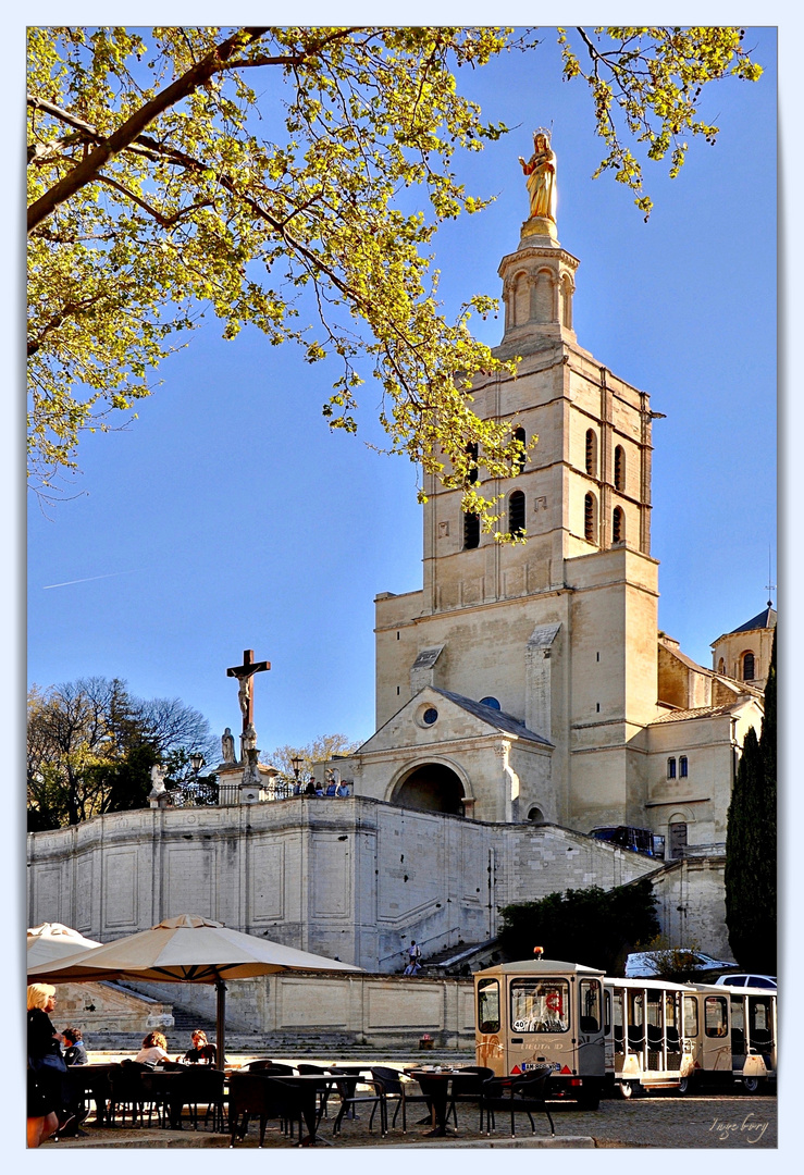 Sonntags.Geschichte: Die Kathedrale von Avignon