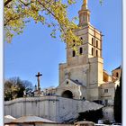 Sonntags.Geschichte: Die Kathedrale von Avignon