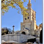 Sonntags.Geschichte: Die Kathedrale von Avignon