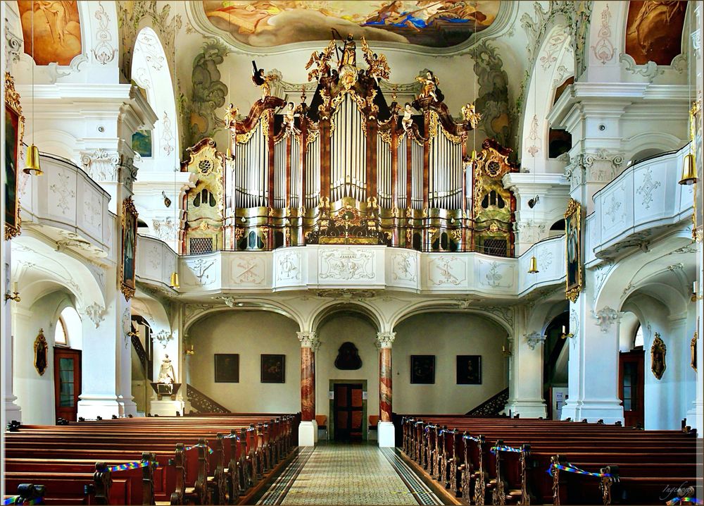 Sonntags.Geschichte: Orgelkonzerte im Lindauer Münster
