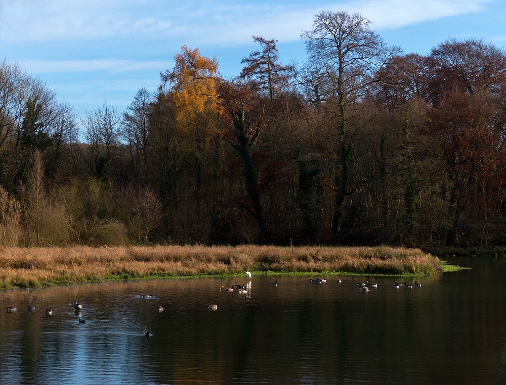 Sonntagsidyll am Aprather Mühlenteich