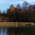 Sonntagsidyll am Aprather Mühlenteich