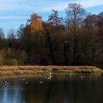 Sonntagsidyll am Aprather Mühlenteich