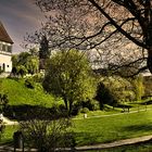 Sonntagskirche in Murrhardt - Allen einen schönen Sonntag